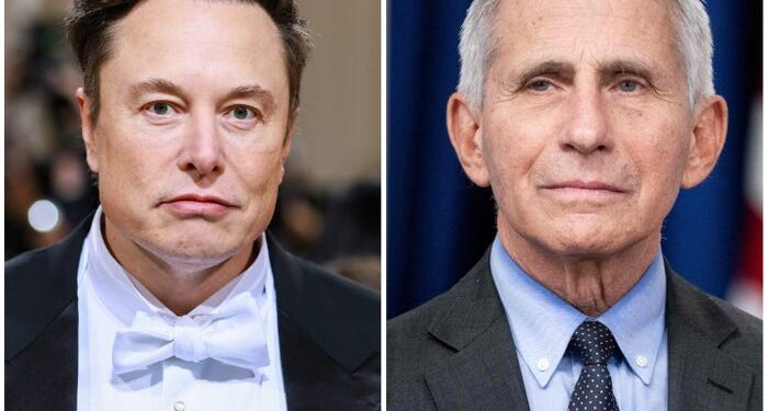 Elon Musk se burla del lanzamiento de los 'Archivos Fauci', luego de su anterior crítica mordaz al experto médico.