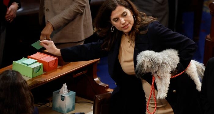 'No hay reglas en este momento': la congresista de Carolina del Sur llevó a su perro a la histórica votación de varios días del presidente de la Cámara