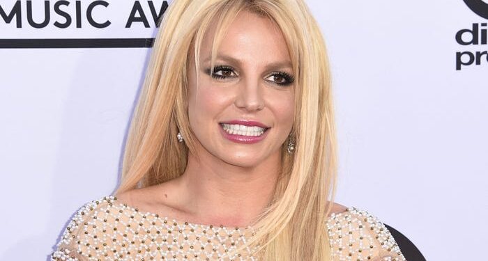 Britney Spears dijo que los fanáticos «fueron demasiado lejos» cuando llamaron a la policía para visitar su casa después de que desactivó su Instagram.