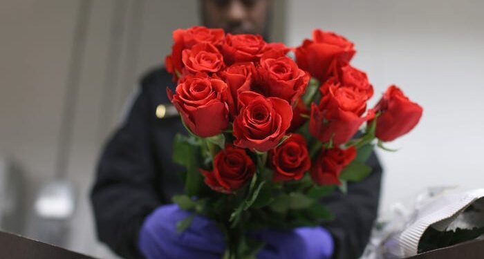 Las rosas del Día de San Valentín convierten a Miami, generalmente un desierto de carga, en el lugar más concurrido de camiones