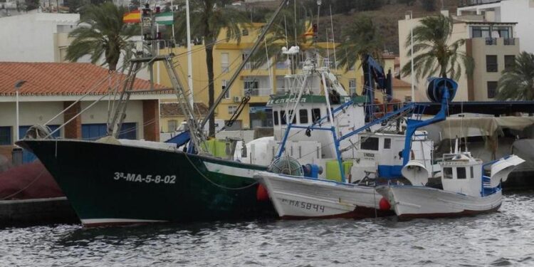 El temporal mantiene amarrada la flota a puerto y aumenta los precios del pescado en Málaga