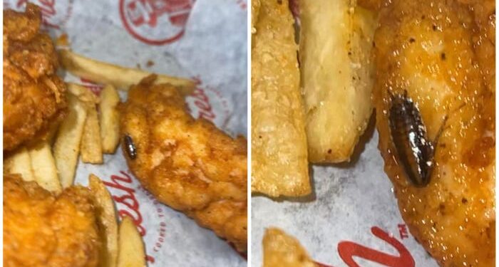 Una mujer que encontró una cucaracha en la comida de su esposo en Slim Chickens en Florida dice que tuvo que luchar con el gerente para obtener un reembolso